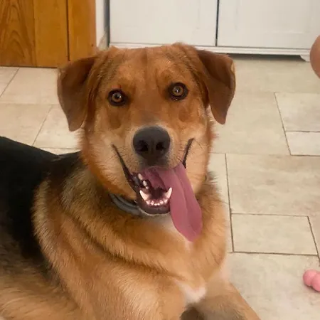 Le Radici 3* 莫诺波利